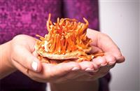 Phụ nữ uống đông trùng hạ thảo có tốt không? Có ảnh hưởng gì không?