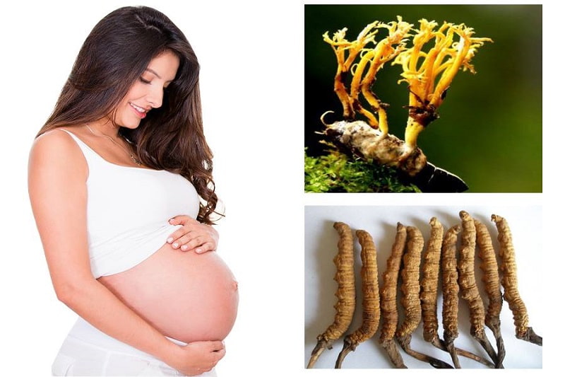 phụ nữ uống đông trùng hạ thảo có tốt không